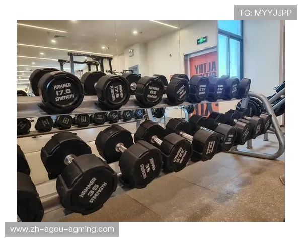 室内健身器材有哪些选择与使用方法