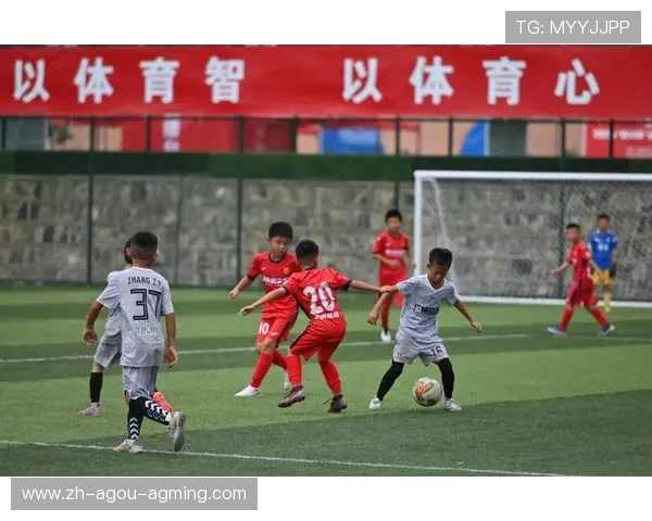 足球青少年训练体系与发展方向